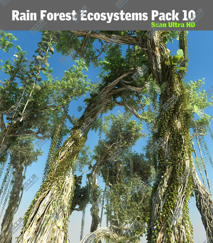 images/goods_img/20210113/Rain Forest ecosystems Pack 10/1.jpg